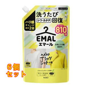 ԉ G}[ tbVO[̍ l֗p 810g×6