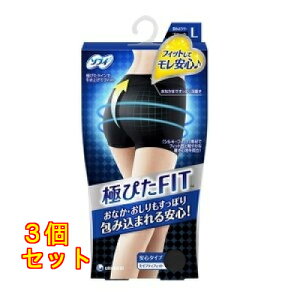 �\�t�B �ɂ҂�FIT �Z�C�t�e�B�t�B�b�g L �u���b�N×3��