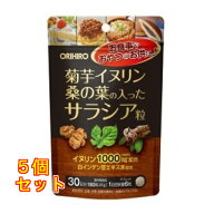 菊芋イヌリン桑の葉の入ったサラシア粒×5個