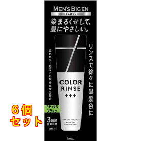 メンズビゲン カラーリンストリプルプラス ナチュラルブラック 120g×6個