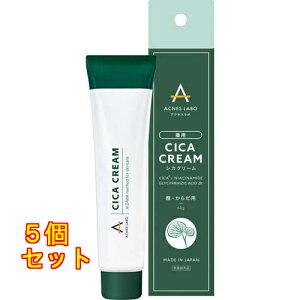 �A�N�l�X���{ ��pCICA�N���[�� 60g×5��