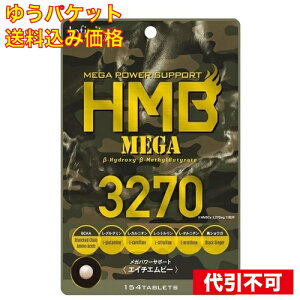 �y�䂤�p�P�b�g�������݁zHMB MEGA3270 154��
