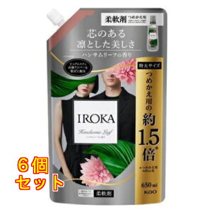 �ԉ� IROKA �n���T�����[�t�̍��� �X�p�E�g 650mL×6��