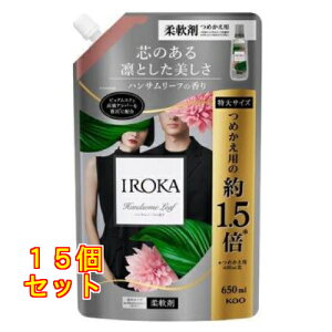 �ԉ� IROKA �n���T�����[�t�̍��� �X�p�E�g 650mL×15��
