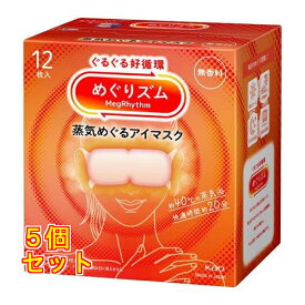 めぐりズム 蒸気めぐるアイマスク 無香料 12枚入り×5個
