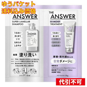 �䂤�p�P�b�g�jTHE ANSWER�i�W�A���T�[�j �X�[�p�[�������V�����v�[&EX���C�X�g�g���[�g�����g FOR DAILY DAMAGE ������ 24mL