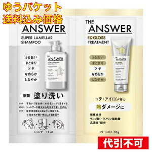 �䂤�p�P�b�g�jTHE ANSWER�i�W�A���T�[�j �X�[�p�[�������V�����v�[&EX�O���X�g���[�g�����g FOR HEAT DAMAGE ������ 24mL