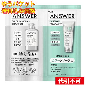 �䂤�p�P�b�g�jTHE ANSWER�i�W�A���T�[�j �X�[�p�[�������V�����v�[&EX���y�A�g���[�g�����g FOR COLOR DAMAGE ������ 24mL