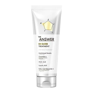 THE ANSWER�i�W�A���T�[�jEX�O���X�g���[�g�����g FOR HEAT DAMAGE 220g