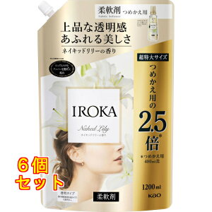 IROKA�l�C�L�b�h�����[�X�p�E�g 1200G×6��