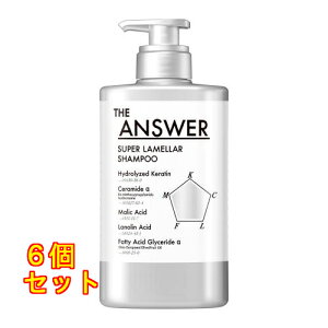 THE ANSWER�i�W�A���T�[�j �X�[�p�[�������V�����v�[ �|���v 400mL×6��
