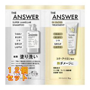 THE ANSWER�i�W�A���T�[�j �X�[�p�[�������V�����v�[&EX�O���X�g���[�g�����g FOR HEAT DAMAGE ������ 24mL×12��