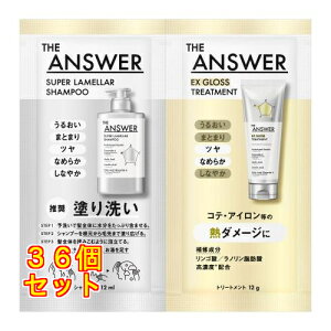 THE ANSWER�i�W�A���T�[�j �X�[�p�[�������V�����v�[&EX�O���X�g���[�g�����g FOR HEAT DAMAGE ������ 24mL×36��