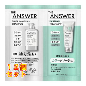 THE ANSWER�i�W�A���T�[�j �X�[�p�[�������V�����v�[&EX���y�A�g���[�g�����g FOR COLOR DAMAGE ������ 24mL×12��
