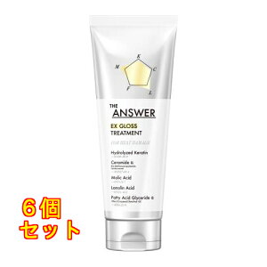 THE ANSWER�i�W�A���T�[�jEX�O���X�g���[�g�����g FOR HEAT DAMAGE 220g×6��