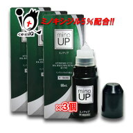【第1類医薬品】ミノアップ 60ml×3個セット【東和薬品】ミノキシジル5％配合 ミノケア リザレック アロ…
