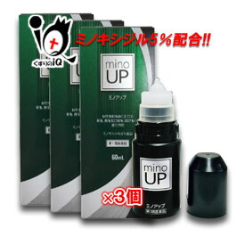 【第1類医薬品】ミノアップ 60ml × 3個セット【東和薬品】ミノキシジル5％配合 ミノグロウ リザレックも販売中 発毛剤 増毛 発毛促進 抜け毛予防 AGA 髪質 頭皮ケア 塗り薬 増やす 生える 効く おすすめ まとめ買い