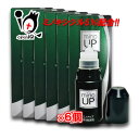 【第1類医薬品】ミノアップ 60ml×6個セット【東和薬品】ミノキシジル5％配合 ミノケア リザレック アロゲイン ミノグロウ スカルプDも発売中発毛剤 増毛 発毛促進 抜け毛予防 AGA 髪質 頭皮ケア 塗り薬 増やす 生える 効く おすすめ まとめ買い