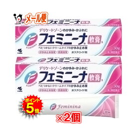 【19日限定ポイント5倍】【第2類医薬品】★フェミニーナ 軟膏S 30g×2個セット【小林製薬】鎮痒消炎薬 デリケートゾーンのかゆみ・かぶれに