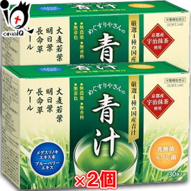 テイカ製薬 めぐすりやさんの青汁 3.0g(1包)×30包×2箱セット【栄養機能食品】【厳選4種の国産青汁】 メグスリノキエキス末・ブルーベリーエキス・京都宇治抹茶使用 大麦若葉・明日葉・長命草・ケール配合【訳あり特別価格】