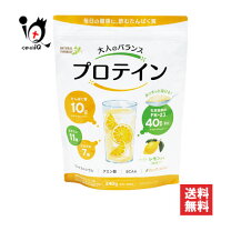 楽天市場】訳あり プロテインの通販