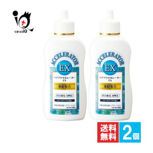y򕔊OizwAANZ[^[EX (t[Abv̍) 150mL×2ZbgyTf{܁zL΂l̃wA[V
