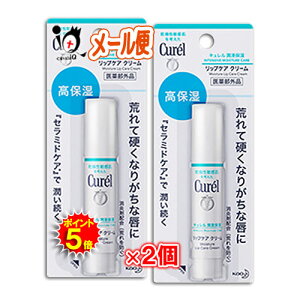 y1|Cg5{zL bvPAXeBbN 4.2g×2Zbg򕔊Oi yԉLz