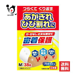 v`io MTCY 38yjbR[ozyAizNo324 炭ĂԂEЂъ K[[ȂvȑfނŖی Ռɋ h\ hF ڗȂ 