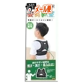 楽天市場 背筋ピーンの通販