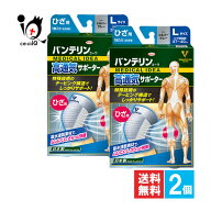 バンテリンコーワサポーター ひざ用 シルバーグレー Lサイズ 大きめ 1枚入×2個セット【Kowa 興和】階段…