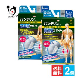 バンテリンコーワサポーター ひざ用 シルバーグレー Lサイズ 大きめ 1枚入×2個セット【Kowa 興和】階段の上がり下りをラクに 歩行をスムーズに ひざ専用 膝用 サポーター スポーツケア用品 膝用サポーター テーピング構造