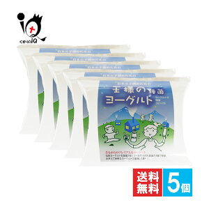 l̃[Og 2×5ZbgyHizď퉷ō Ԃ 胈[Og  [Og ˂ [Og[J[sv [Og_2