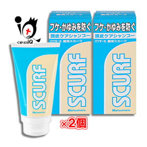 nc[ pXJ[t 80g×2ZbgycƓzSCURF Rۍp tPE ̂ɂh PAVv[