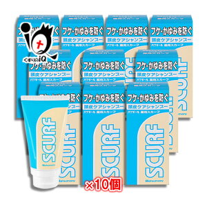 nc[ pXJ[t 80g×10ZbgycƓzSCURF Rۍp tPE ̂ɂh PAVv[