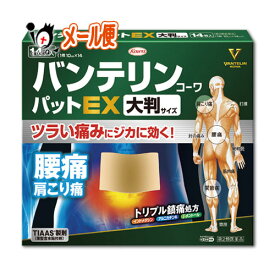 【第2類医薬品】★バンテリンコーワパットEX　大判サイズ 14枚【Kowa 興和】