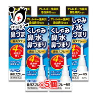 【第2類医薬品】★鼻炎スプレーNS 30mL×5個セット【中央製薬】ナザールスプレーと同じ成分配合 鼻炎用 …