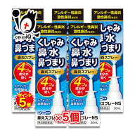 【19日限定ポイント5倍】【第2類医薬品】★鼻炎スプレーNS 30mL×5個セット【中央製薬】ナザールスプレー…