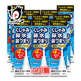 【第2類医薬品】★鼻炎スプレーNS 30mL×10個セット【中央製薬】ナザールスプレーと同じ成分配合 鼻炎用 点鼻薬 花粉症 薬 花粉 かふん くしゃみ 鼻水 鼻みず 鼻づまり 鼻炎 鼻炎薬 急性鼻炎 アレルギー性鼻炎 ハウスダスト ほこり ジェネリック