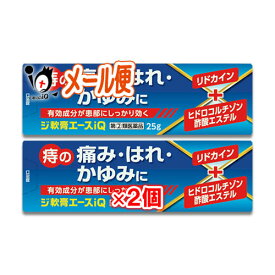 【指定第2類医薬品】ジ軟膏エースiQ 25g×2個セット【中央製薬】痔疾用薬 痔の痛み・はれ・かゆみに オシリアと同じ成分配合 痔の薬 切れ痔 きれ痔 裂肛 いぼ痔 痔核 ステロイドなし ノンステロイド 塗り薬 外用薬 市販薬 ジェネリック