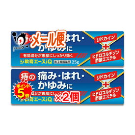 【19日限定ポイント5倍】【指定第2類医薬品】ジ軟膏エースiQ 25g×2個セット【中央製薬】痔疾用薬 痔の痛み・はれ・かゆみに オシリアと同じ成分配合 痔の薬 切れ痔 きれ痔 裂肛 いぼ痔 痔核 ステロイドなし ノンステロイド 塗り薬 外用薬 市販薬 ジェネリック