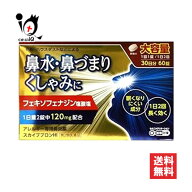 【第2類医薬品】★スカイブブロンHI 60錠(30日分)【日野薬品工業】アレルギー専用鼻炎薬 花粉 花粉症 鼻…