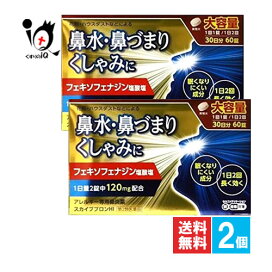 楽天市場】イオナ PL オールインワン ジェル 80g×2個セット【イオナ 