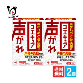 【第2類医薬品】コエキュア 6包×2個セット【小林製薬】声がれ、のどの不快感に 声帯の炎症を鎮め、声を出しやすくする 響声破笛丸 きょうせいはてきがん