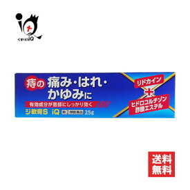 【指定第2類医薬品】ジ軟膏S iQ 25g【中央製薬】オシリアと同じ成分配合 痔 痔の薬 痔軟膏 肛門 いぼ痔 イボ痔 きれ痔 切れ痔 裂肛 痛み はれ かゆみ 塗り薬 外用薬 ジェネリック