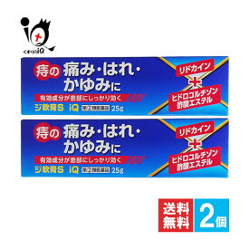 【指定第2類医薬品】ジ軟膏S iQ 25g×2個セット【中央製薬】痔 痔の薬 痔軟膏 肛門 いぼ痔 イボ痔 きれ痔 切れ痔 裂肛 痛み はれ かゆみ 塗り薬 外用薬 ジェネリック