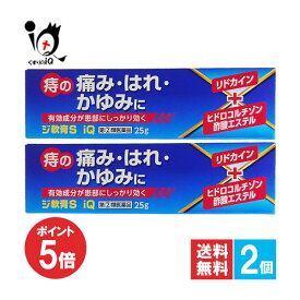 【19日限定ポイント5倍】【指定第2類医薬品】ジ軟膏S iQ 25g×2個セット【中央製薬】痔 痔の薬 痔軟膏 肛門 いぼ痔 イボ痔 きれ痔 切れ痔 裂肛 痛み はれ かゆみ 塗り薬 外用薬 ジェネリック