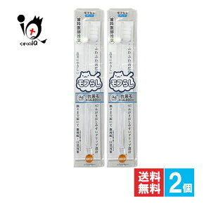 IWPA t炵 M[ 1{×2Zbgy؃wXPAzZɍזюuV sɂ₳CƂAȈtuV