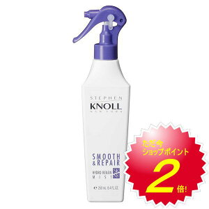 XeB[um nChj[ ~Xg X[XyA i炳^Cvj250ml 􂢗ȂwAg[gg