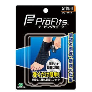 sbv vEtBbg e[sOT|[^[ p t[TCY