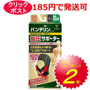 a oeR[ T|[^[ Ђp ӂ/傫/傫 ubN 1